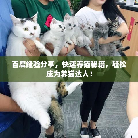 百度經(jīng)驗(yàn)分享，快速養(yǎng)貓秘籍，輕松成為養(yǎng)貓達(dá)人！