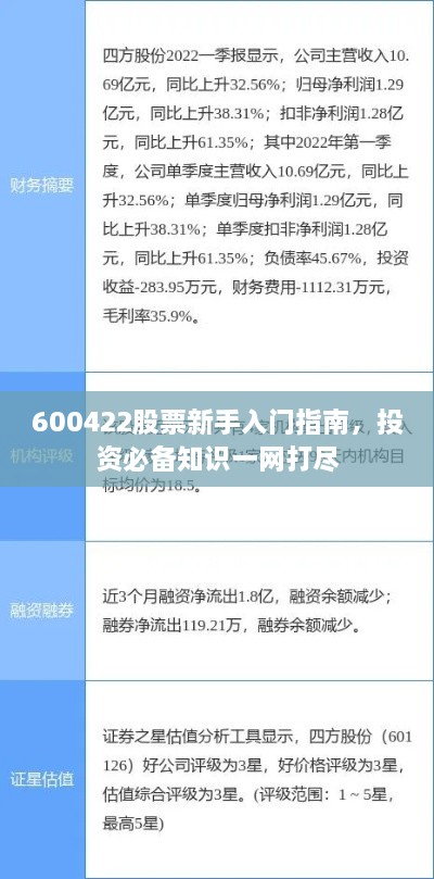 600422股票新手入門指南，投資必備知識一網(wǎng)打盡
