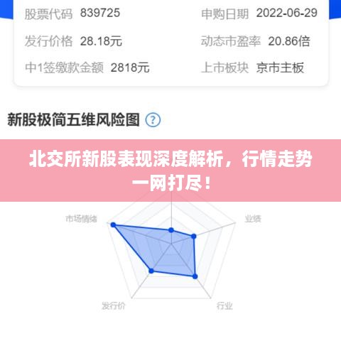 北交所新股表現(xiàn)深度解析，行情走勢一網(wǎng)打盡！