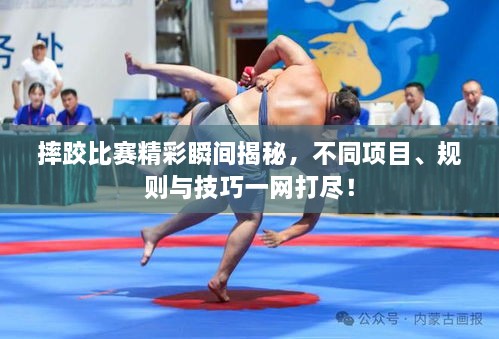 摔跤比賽精彩瞬間揭秘，不同項(xiàng)目、規(guī)則與技巧一網(wǎng)打盡！