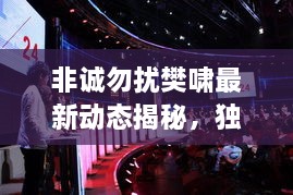 非誠勿擾樊嘯最新動態(tài)揭秘，獨家爆料吸引眼球！
